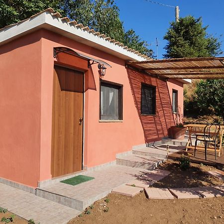 Azienda Agricola Sinisi Cerveteri Habitación foto