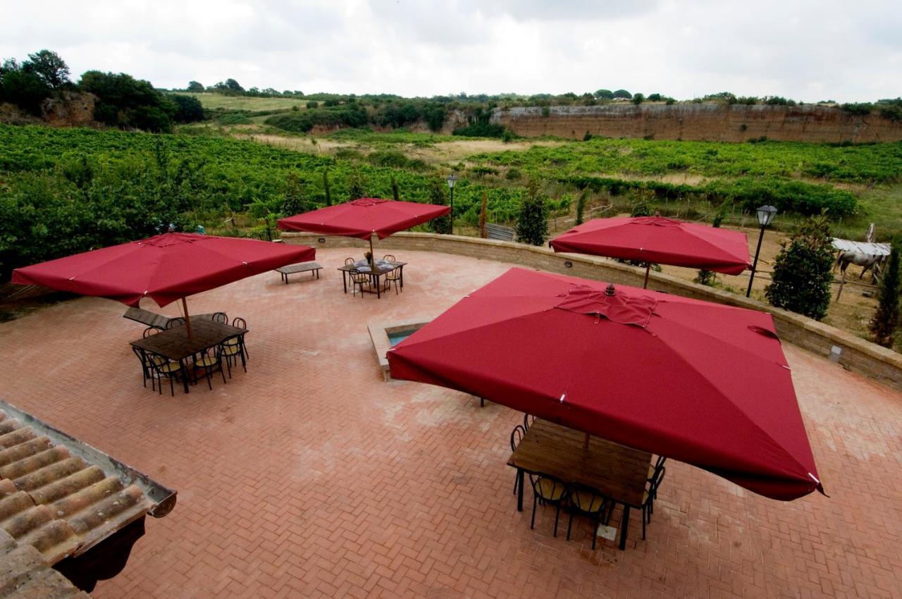 Azienda Agricola Sinisi Cerveteri Habitación foto