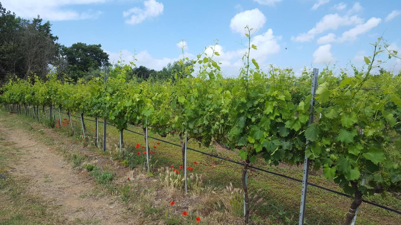 Azienda Agricola Sinisi Cerveteri Exterior foto