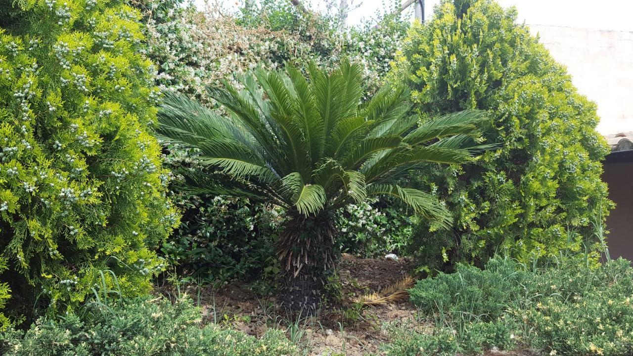 Azienda Agricola Sinisi Cerveteri Exterior foto