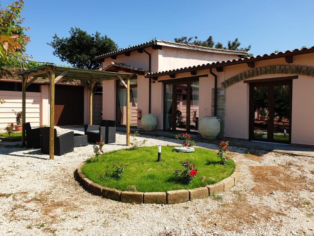 Azienda Agricola Sinisi Cerveteri Exterior foto