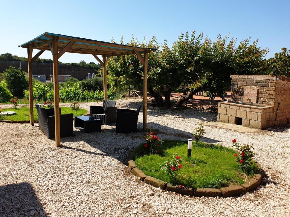 Azienda Agricola Sinisi Cerveteri Exterior foto