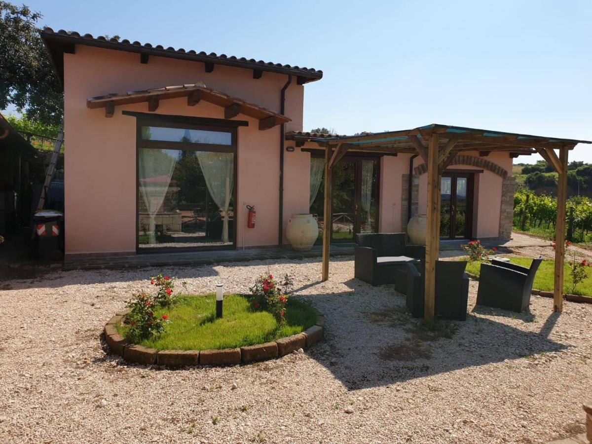 Azienda Agricola Sinisi Cerveteri Exterior foto
