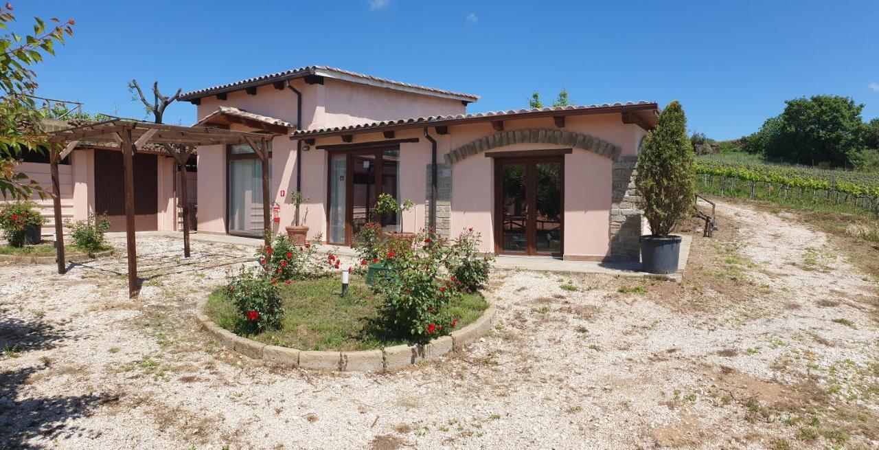 Azienda Agricola Sinisi Cerveteri Exterior foto