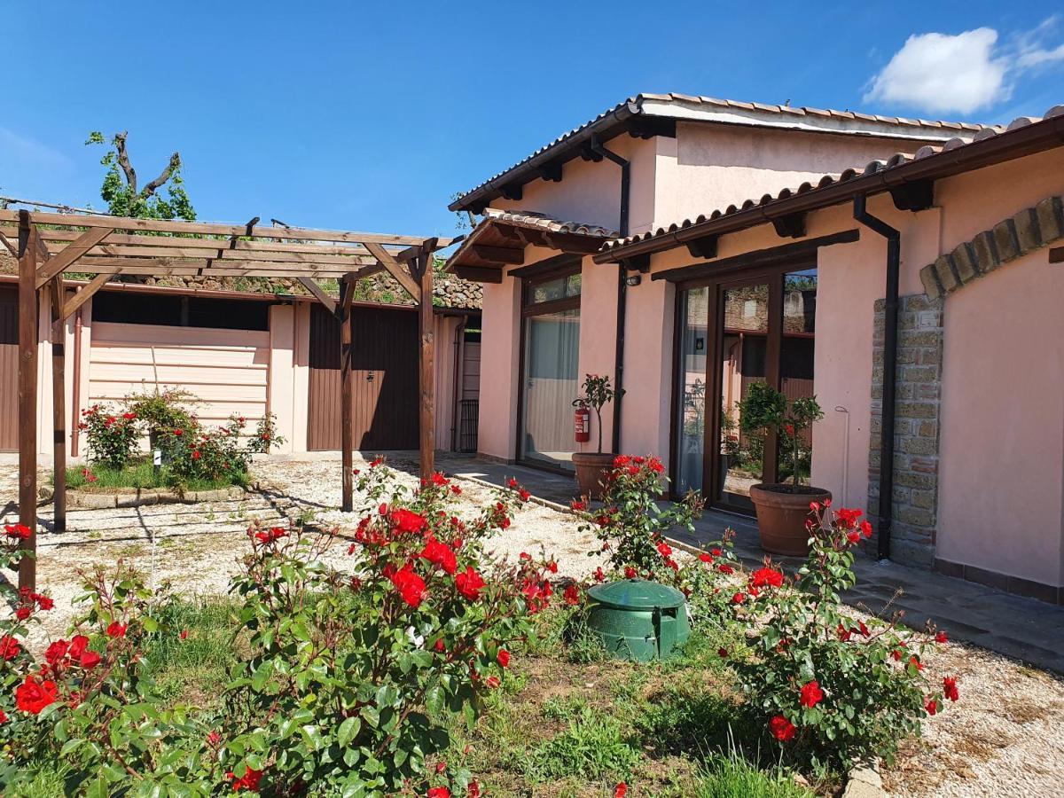 Azienda Agricola Sinisi Cerveteri Exterior foto