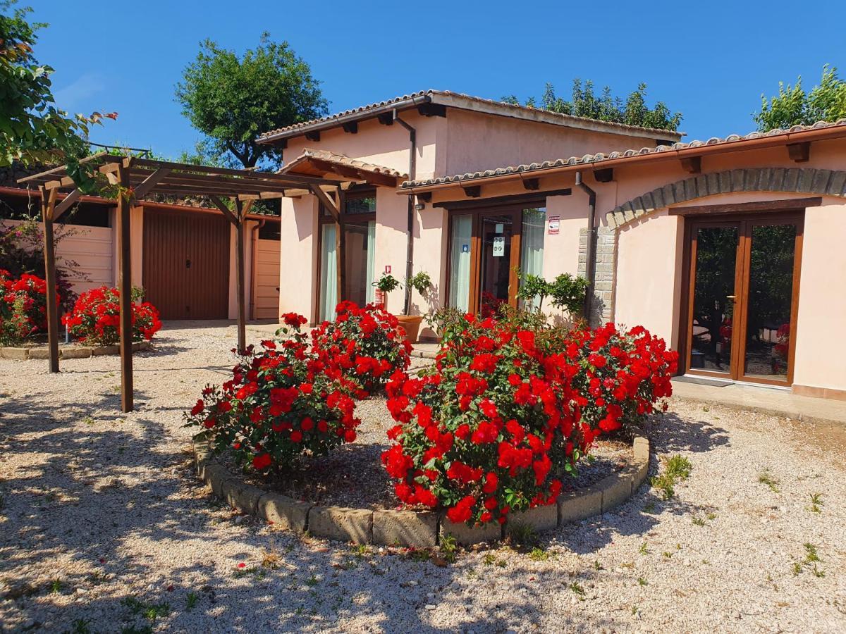 Azienda Agricola Sinisi Cerveteri Exterior foto