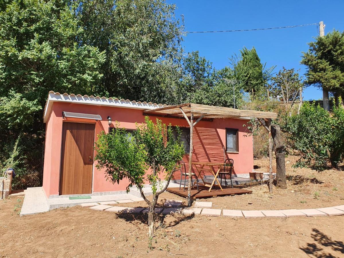 Azienda Agricola Sinisi Cerveteri Habitación foto