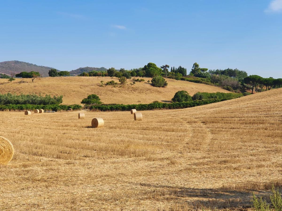 Azienda Agricola Sinisi Cerveteri Exterior foto